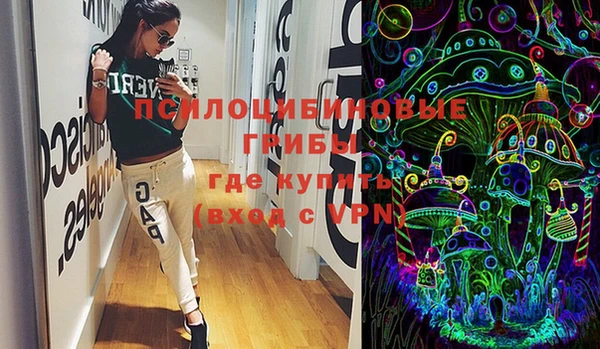 бошки Инсар