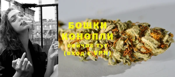 эйфоретик Иннополис