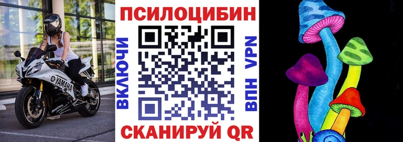 Галлюциногенные грибы мицелий  Купить где  Задонск 